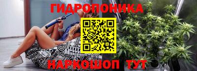 шишки Севастополь