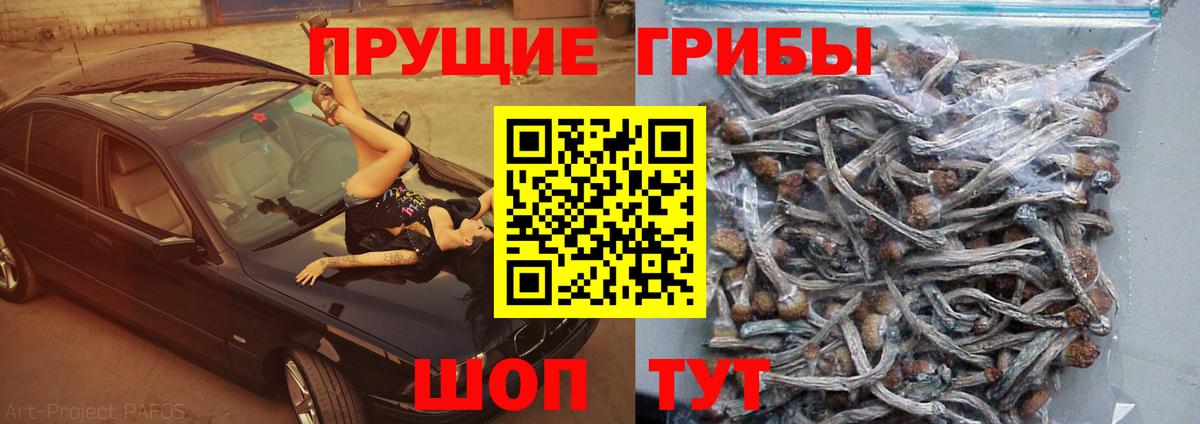 Псилоцибиновые грибы ЛСД Сафоново